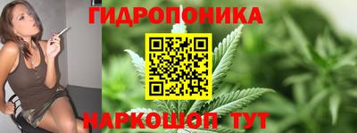амф Обь