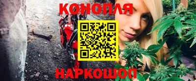 PSILOCYBIN Обнинск