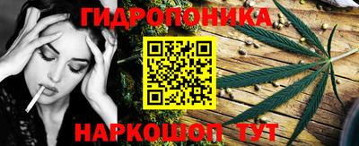 PSILOCYBIN Обнинск