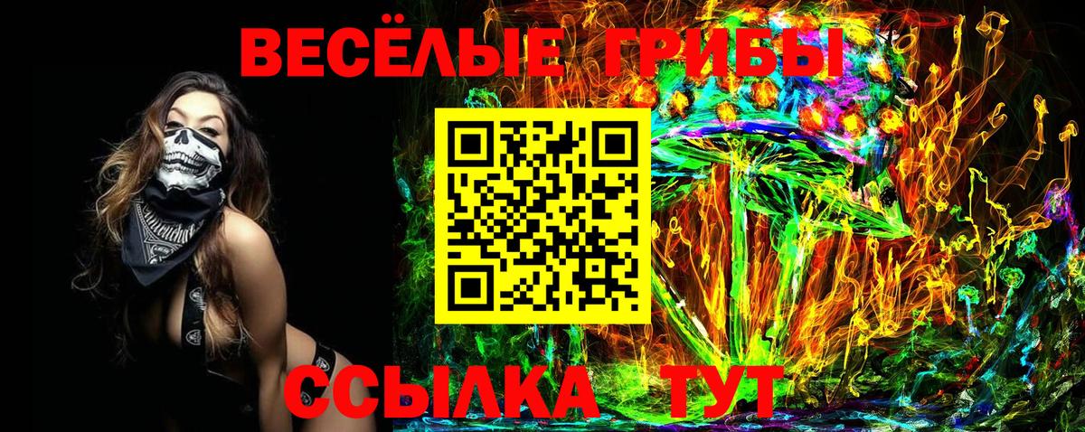 Псилоцибиновые грибы Magic Shrooms  Вход с VPN  Пушкино  Галлюциногенные грибы Magic Shrooms 