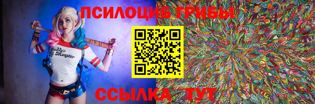 Псилоцибиновые грибы Cubensis Пушкино